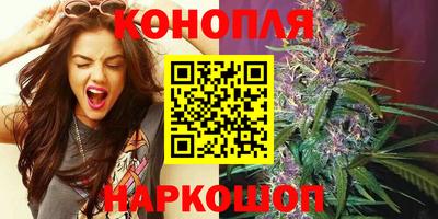 индика Кулебаки