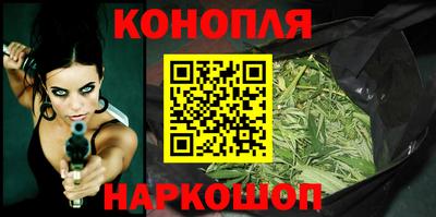 сатива Бузулук