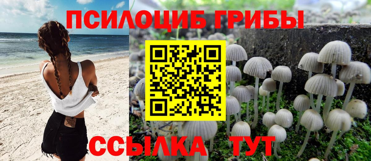 Псилоцибиновые грибы MAGIC MUSHROOMS Фурманов