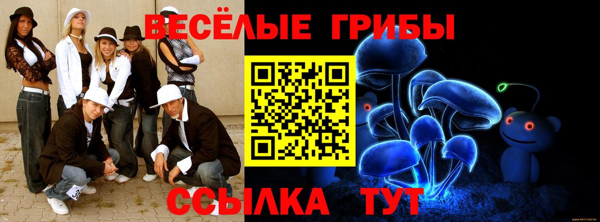 Галлюциногенные грибы Cubensis  Галлюциногенные грибы ЛСД  Фурманов  Вход с VPN 